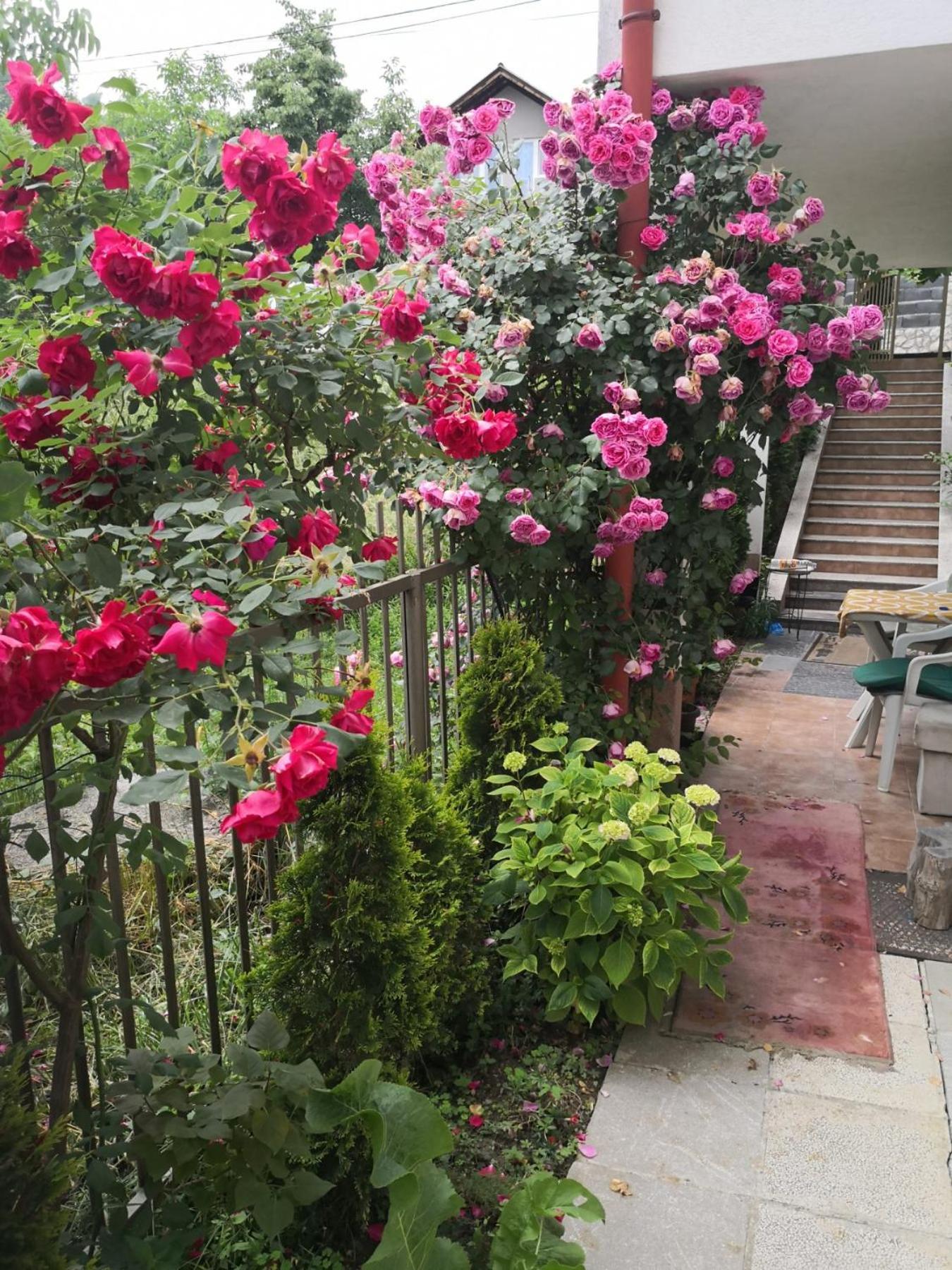 Rest & Recharge 4Bdr Apt- Free Parking, Ac & Garden SJJ Exterior foto